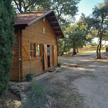 La Cabane En Bois Tourves المظهر الخارجي الصورة