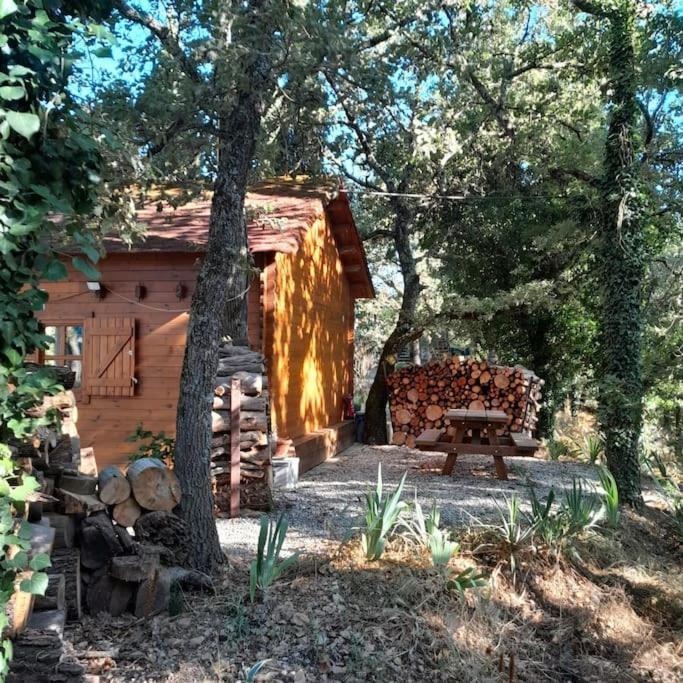 La Cabane En Bois Tourves المظهر الخارجي الصورة