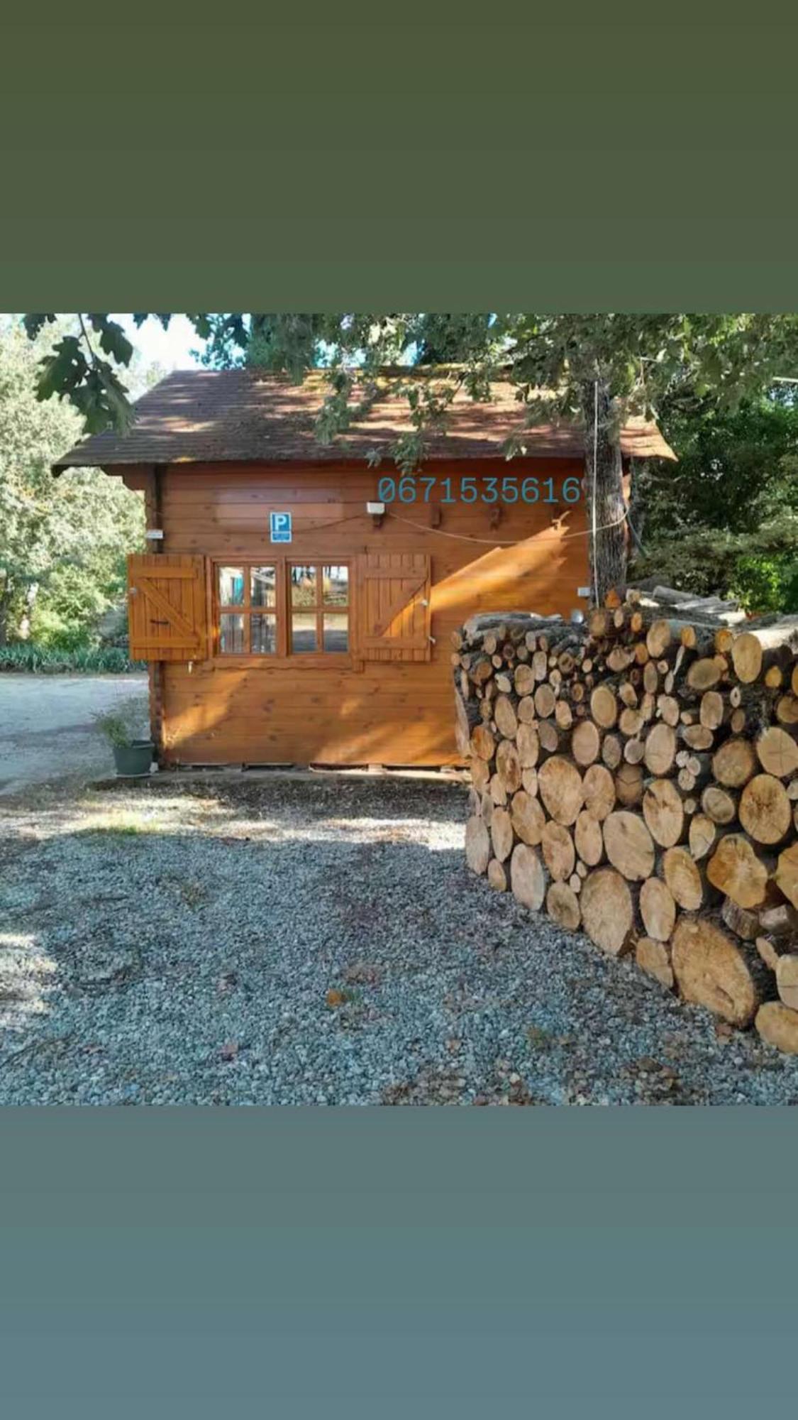 La Cabane En Bois Tourves المظهر الخارجي الصورة
